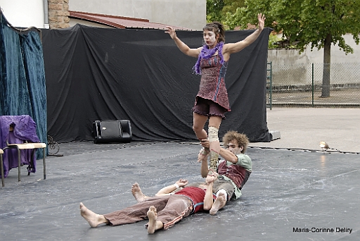 le-cubitus-du-manchot-045.jpg